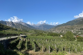 Pompiod, Jovençan - Valle d'Aosta